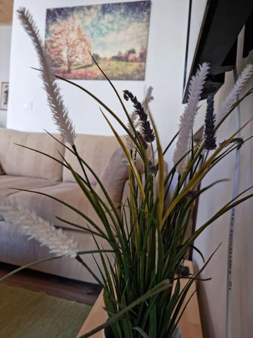 Gs Home Gytheio Dış mekan fotoğraf